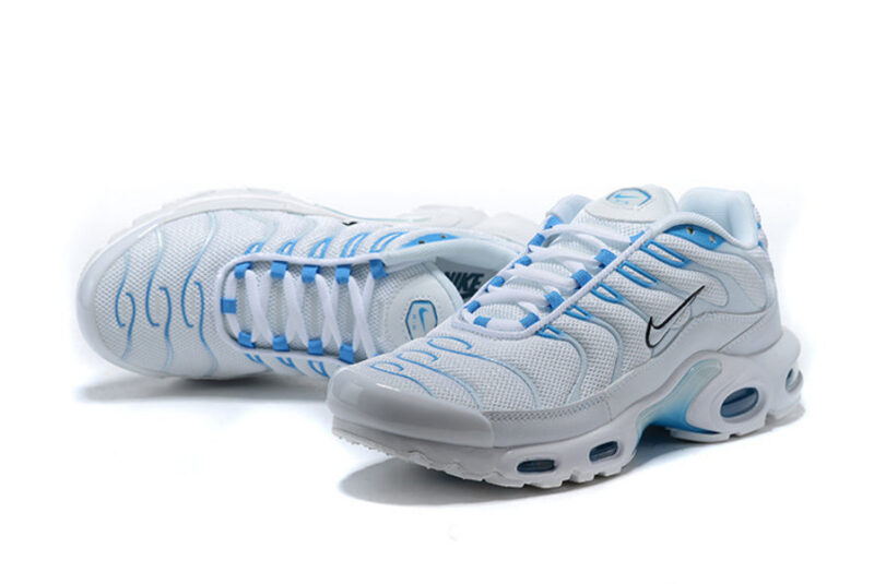 Air Max TN Plus Blue Fury